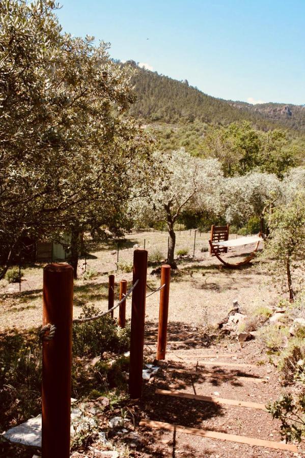 L'Hacienda Maison D'Hotes Bagnols-en-Forêt Exterior foto